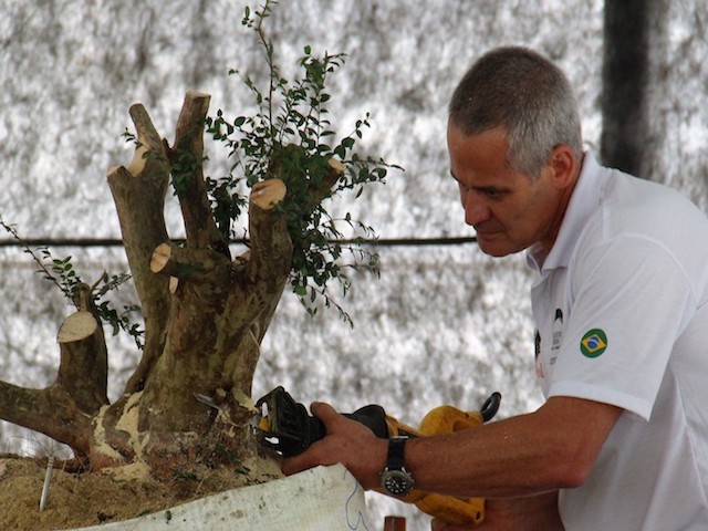 Foto planta sendo podada