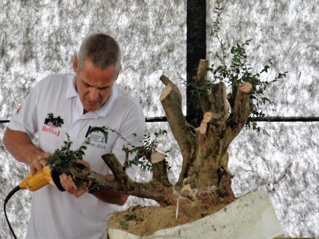 Foto planta sendo podada